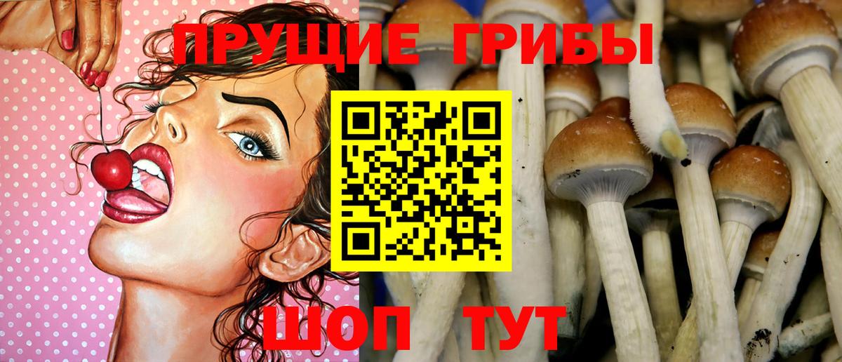 Псилоцибиновые грибы Cubensis  Вход с VPN  Норильск 