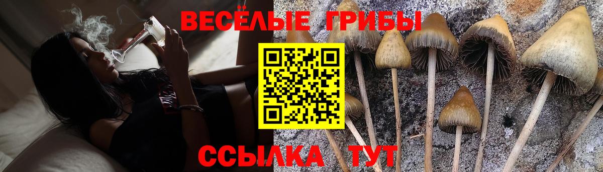 Галлюциногенные грибы MAGIC MUSHROOMS Норильск